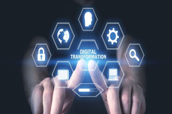 Building the Right Digital Skills for the Digital Organization