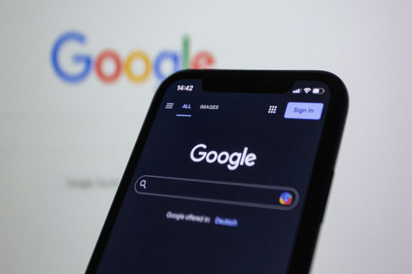Decoding the Blueprint: The Data You Need for Google Meridian