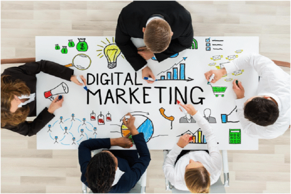 Why Growing Businesses Need Professional Digital Marketing